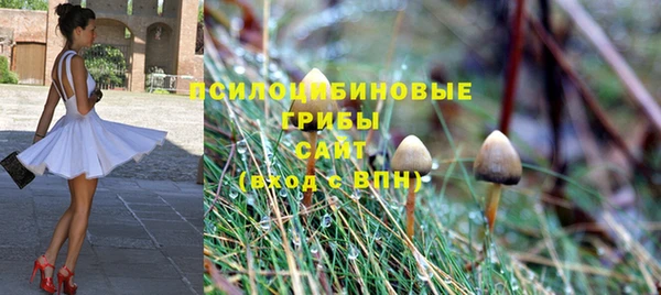 спайс Пенза