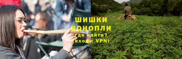 стаф Протвино