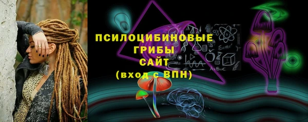 стаф Протвино
