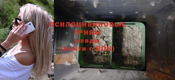 стаф Протвино